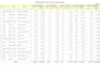 create professional excel reports, formulas, and mis reports